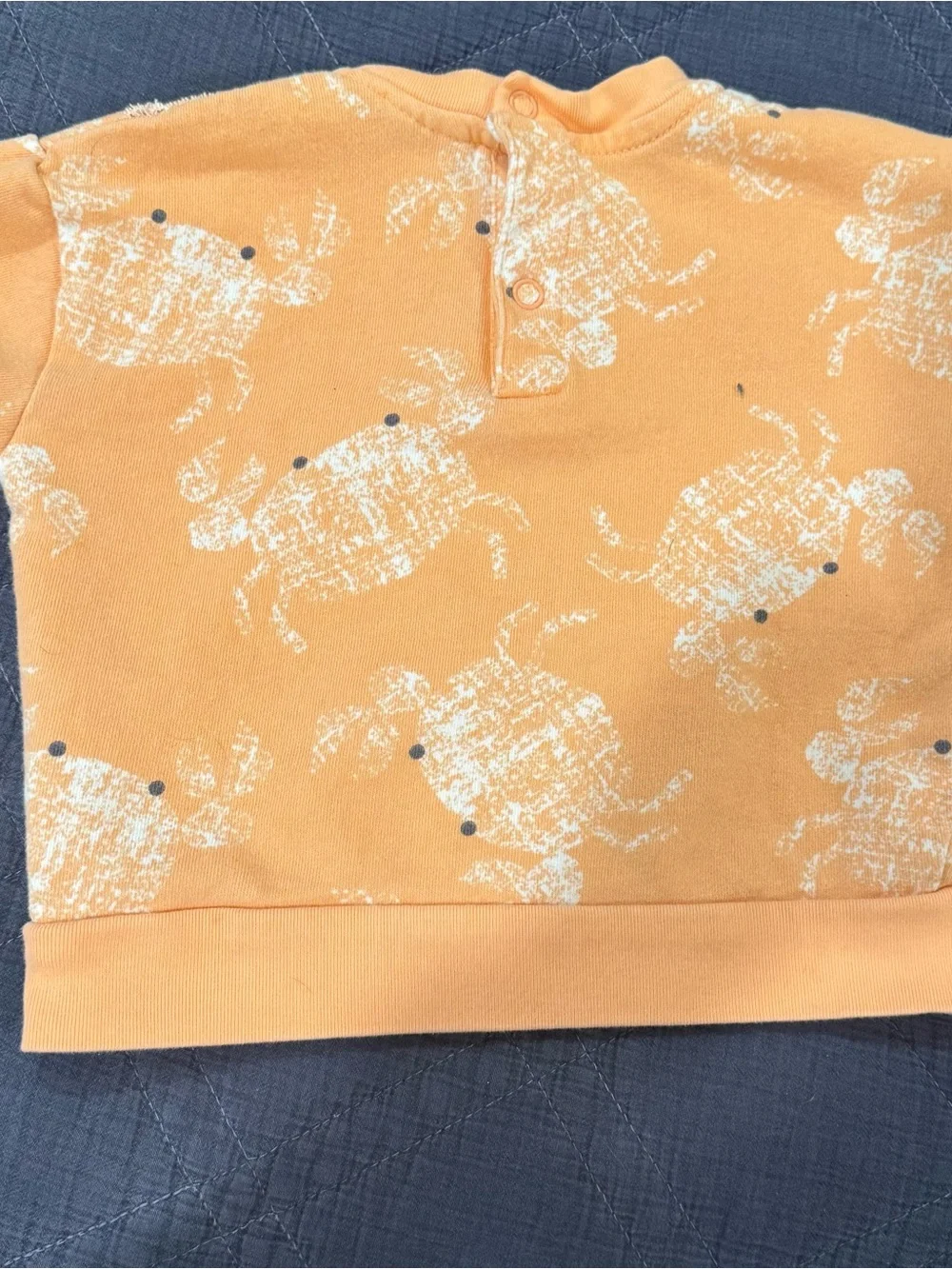 Lil & Jack Make Waves Crab Coastal Short Sleeve Sweatshirt 24M